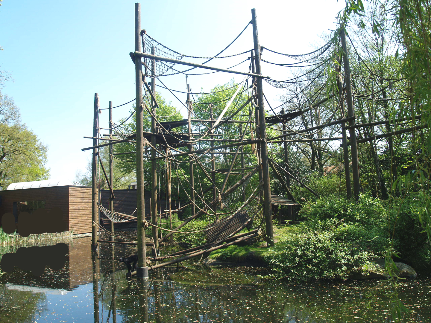 Colombian black spider monkey island, 2009-04-19