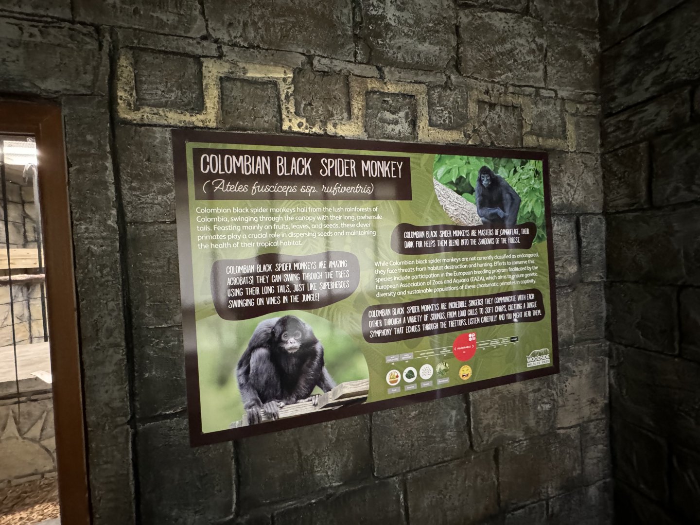 Colombian Black Spider Monkey Sign at Woodside Wildlife Park (May 2024)