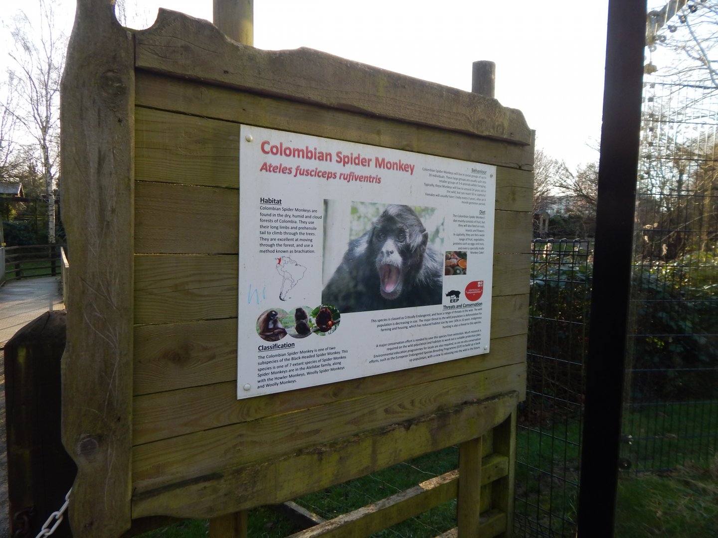 Colombian black spider monkey signage 260124