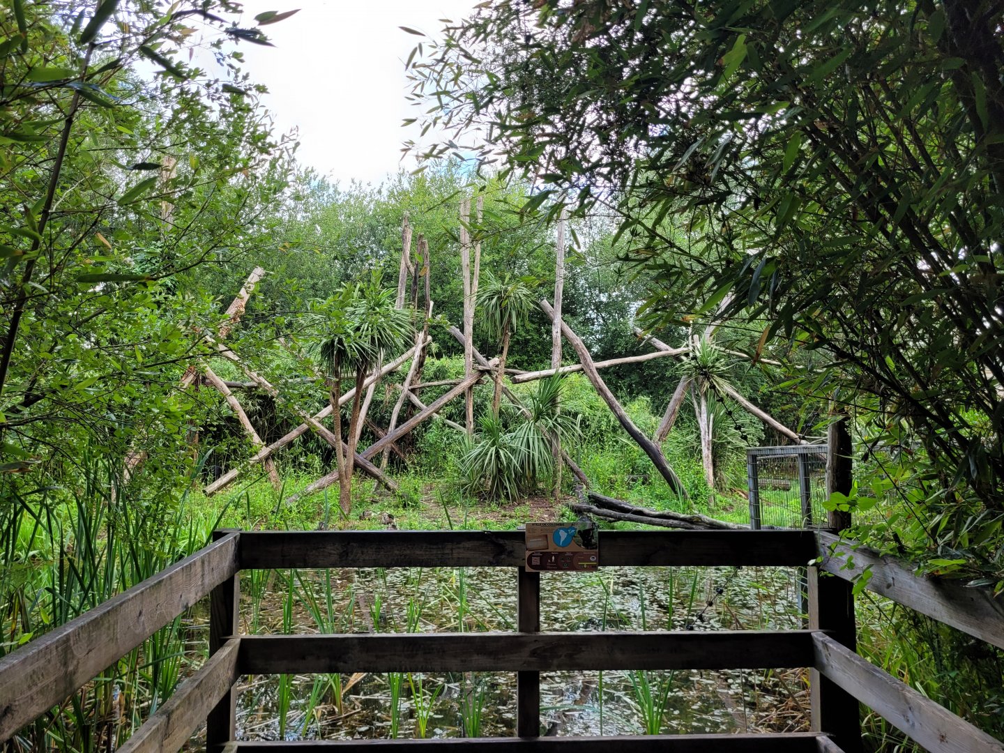 Colombian black spider monkey viewing area -Zoo du bassin d'Arcachon (2024)