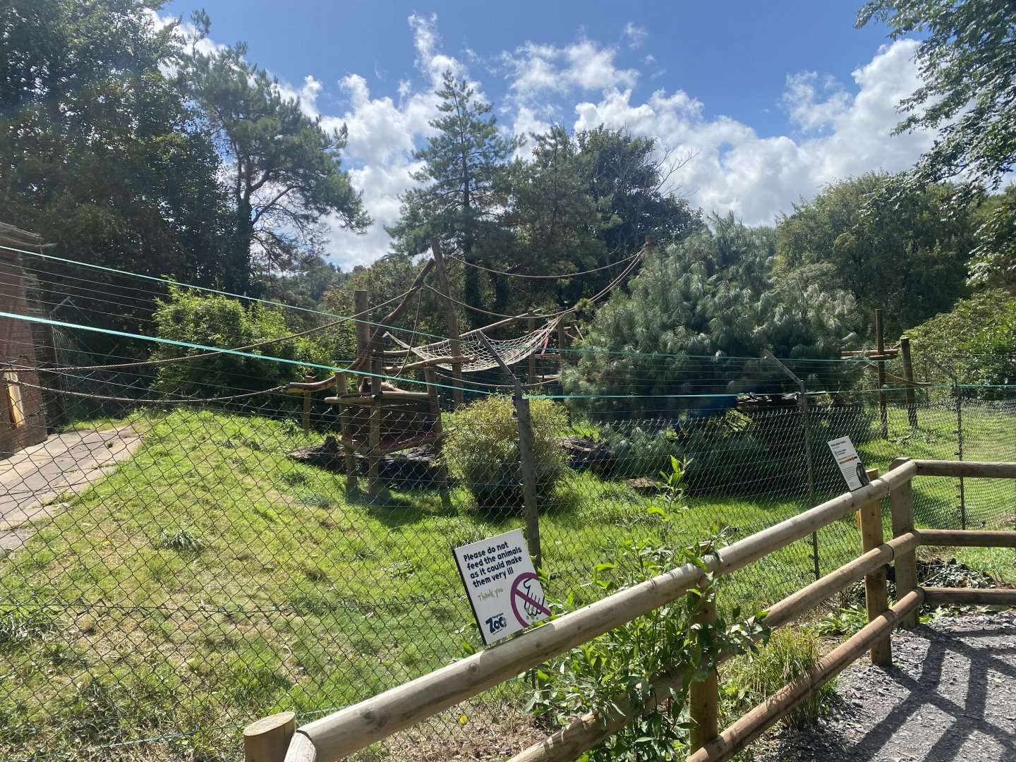 Colombian brown spider monkey exhibit 030925