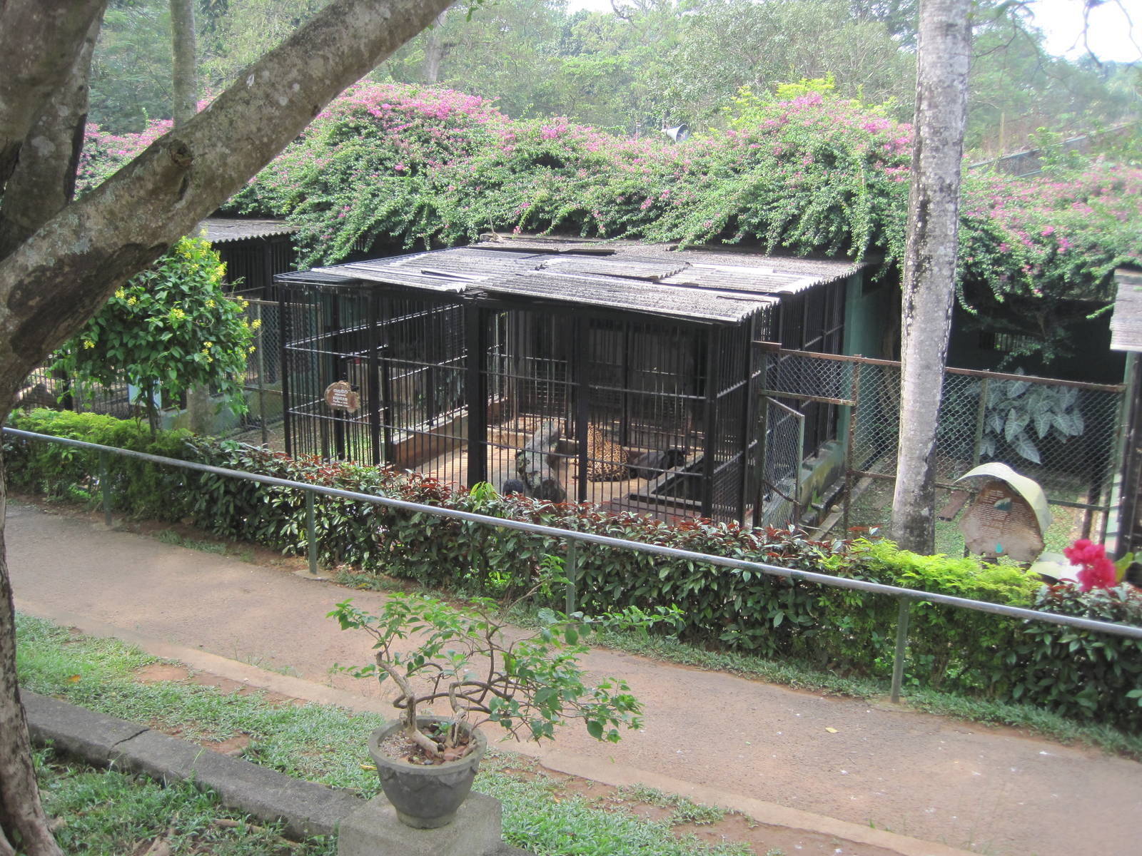 colombo zoo