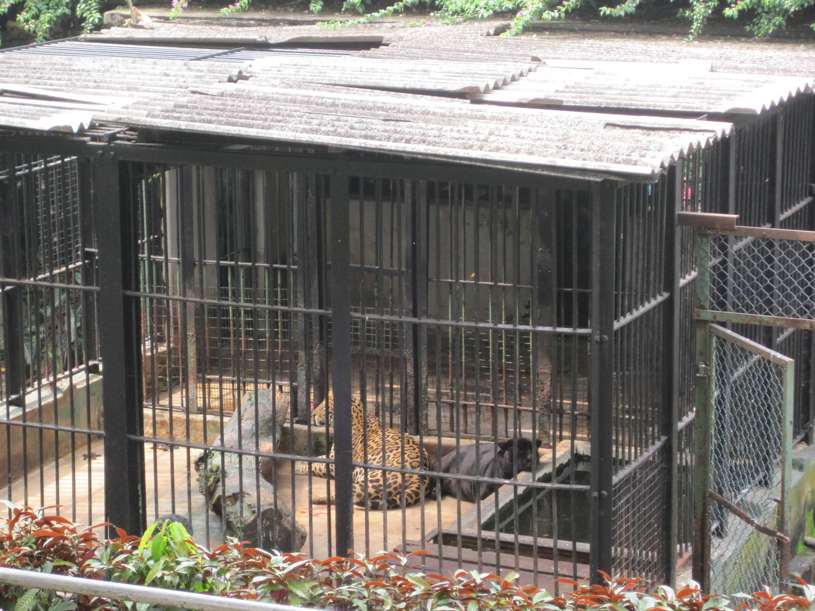 colombo zoo