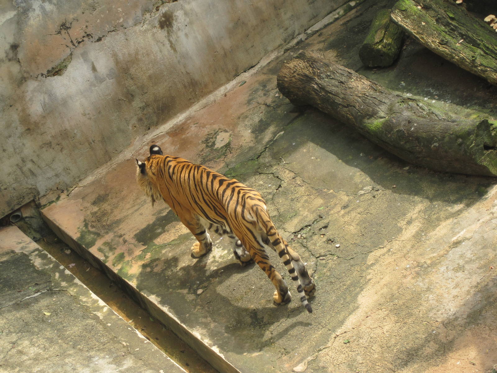 colombo zoo