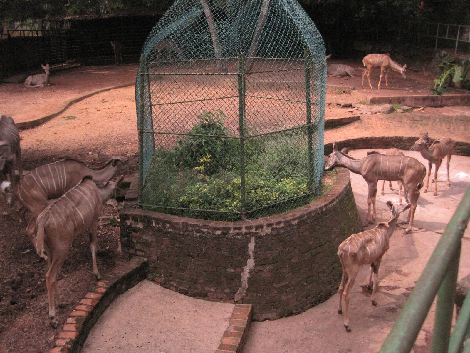 colombo zoo
