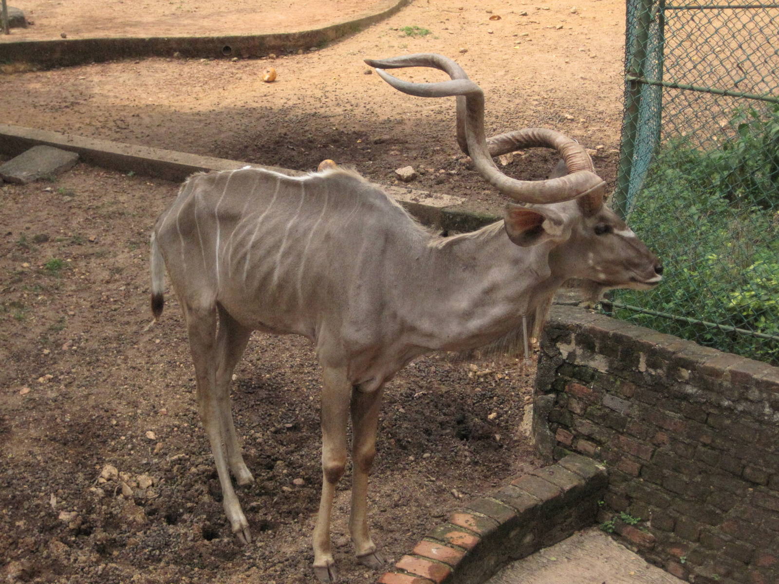 colombo zoo