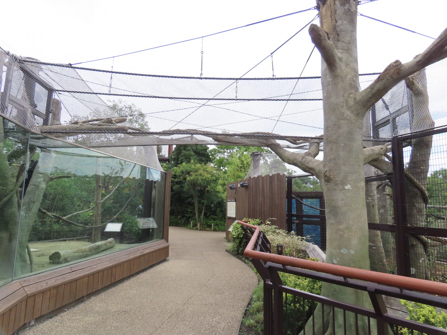 Colombus monkey exhibit