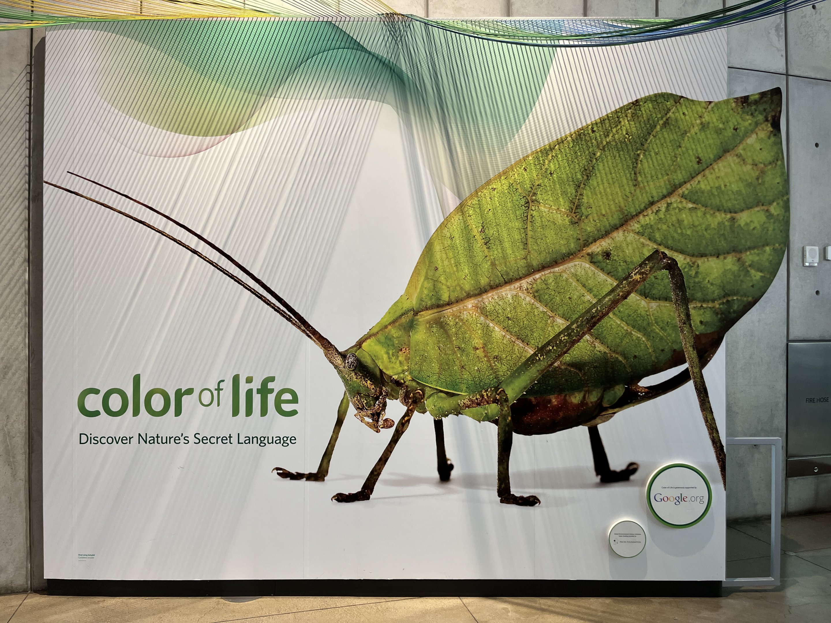 Color of Life Exhibit