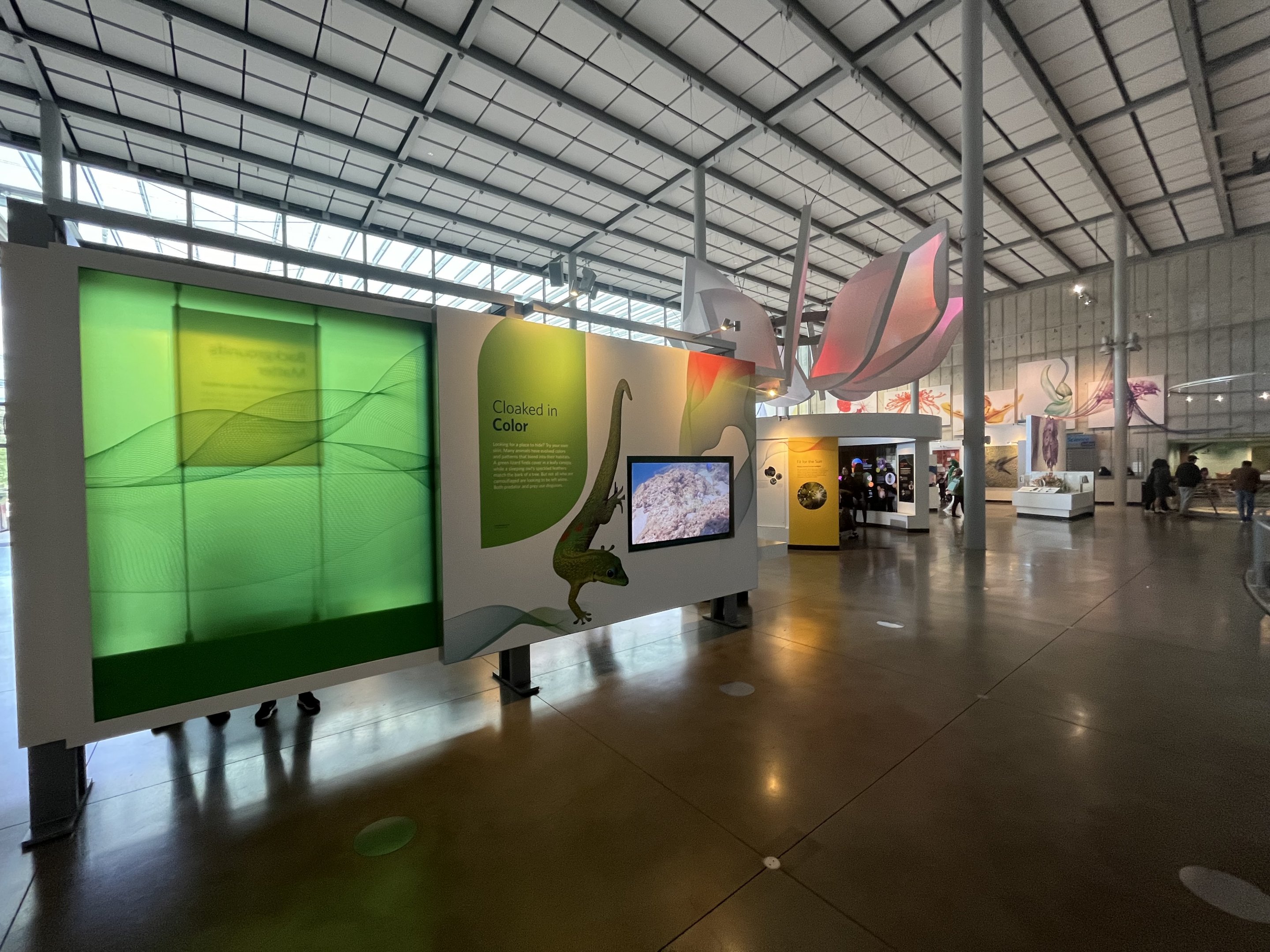 Color of Life Exhibit