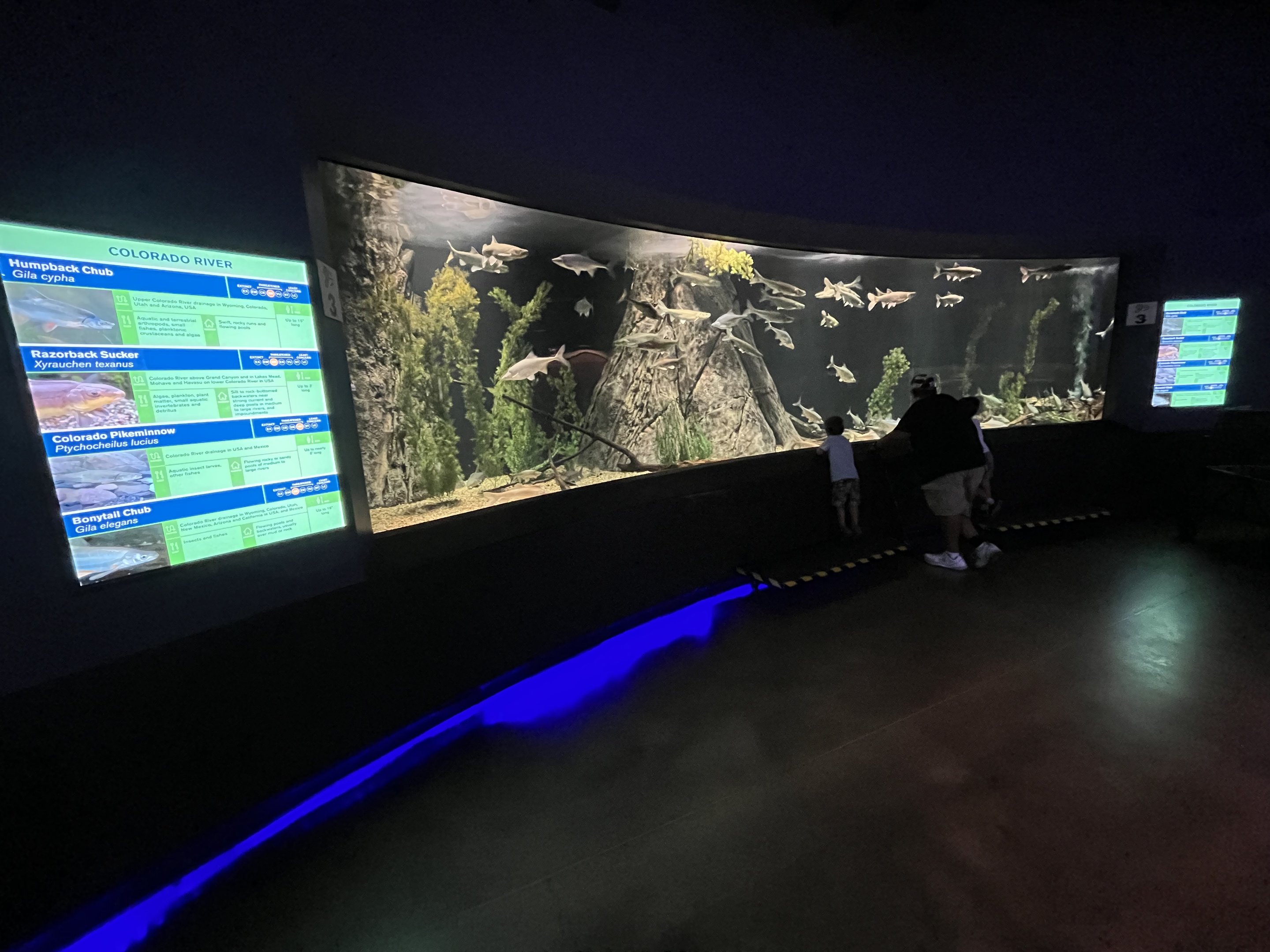 Colorado River Exhibit