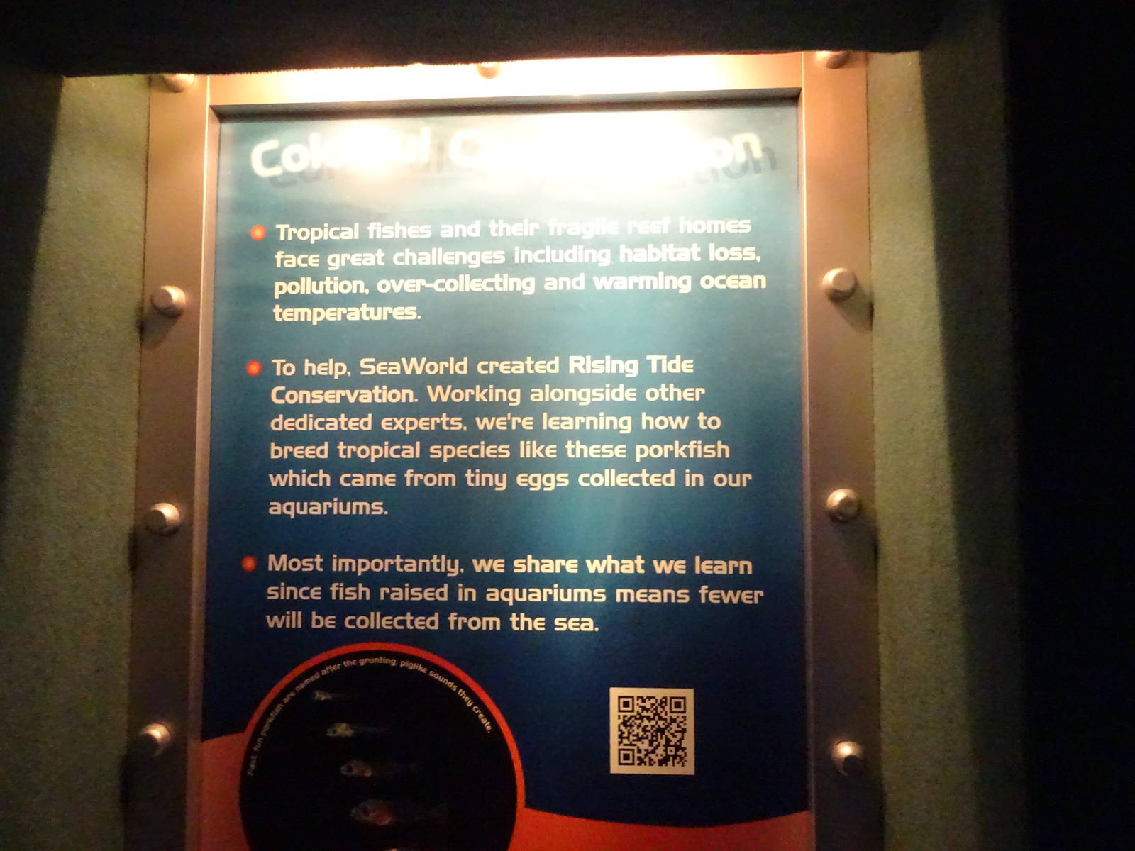Colorful Conservation Sign at SeaWorld Orlando