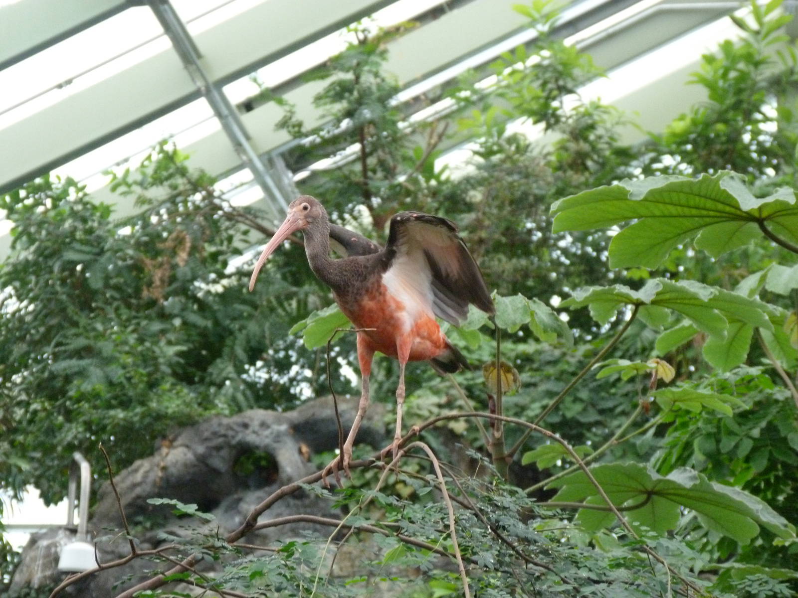 Colors are a Changin'