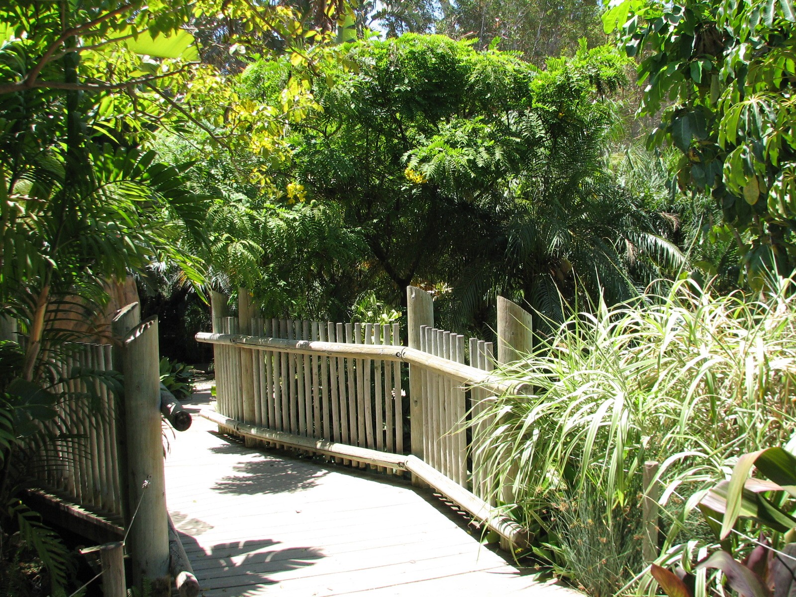 Colors of the Amazon - Bridge