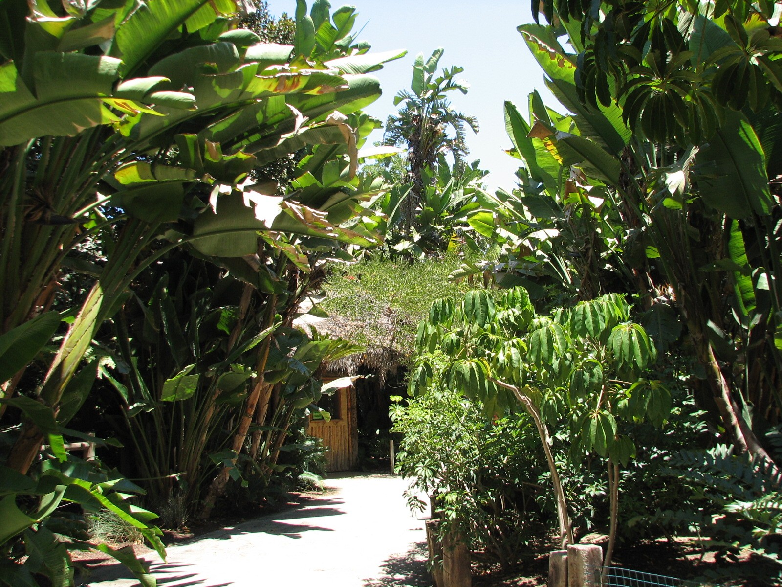 Colors of the Amazon - Entrance