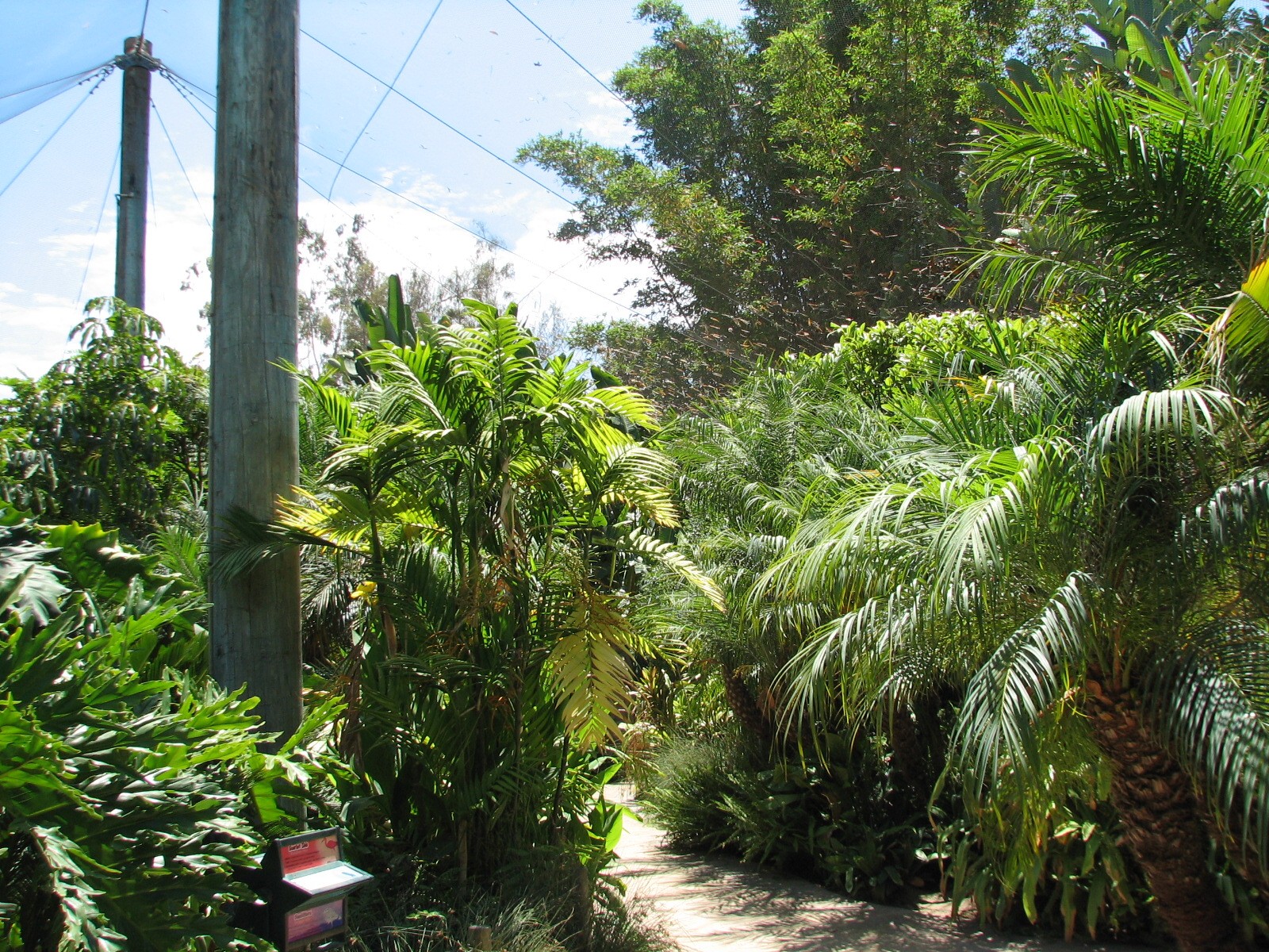 Colors of the Amazon - Interior