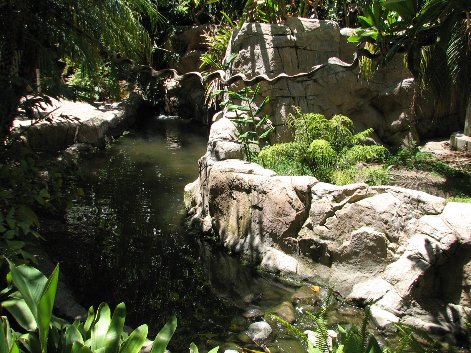 Colors of the Amazon - Stream