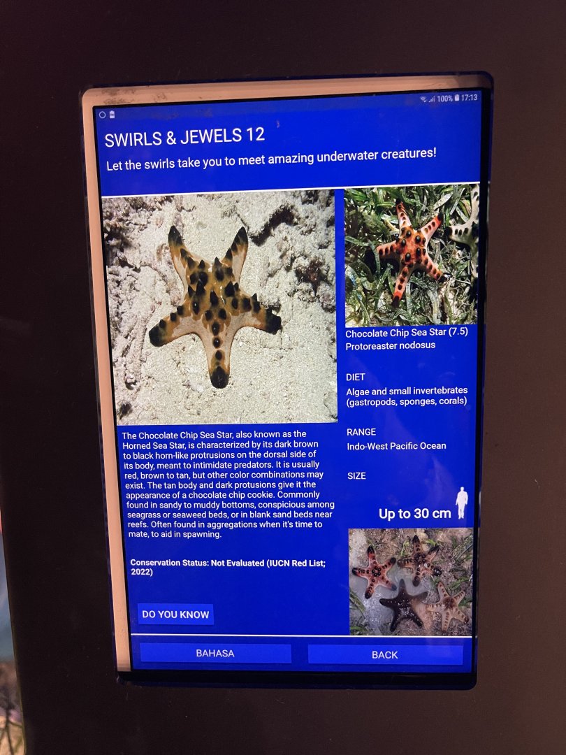 colosseum tank - chocolate chip starfish signage