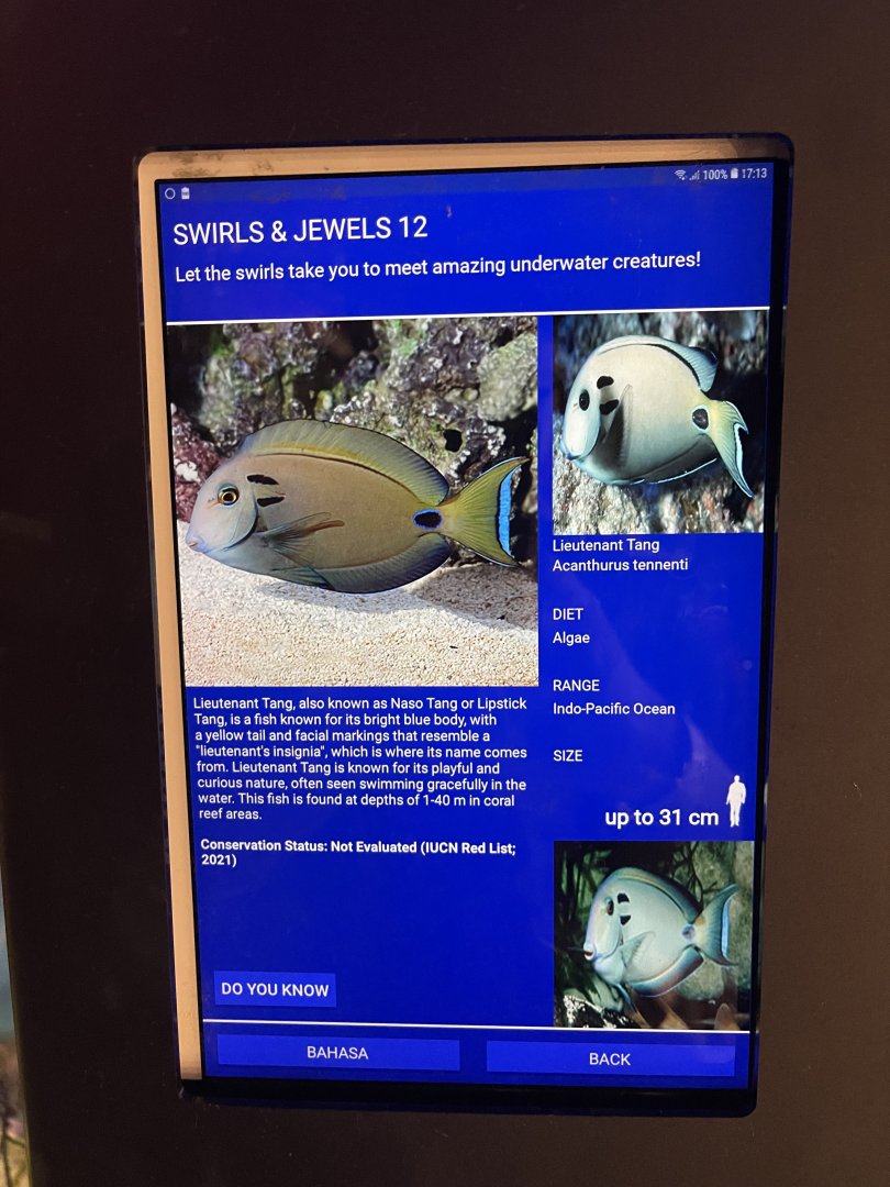 colosseum tank - doubleband surgeonfish signage