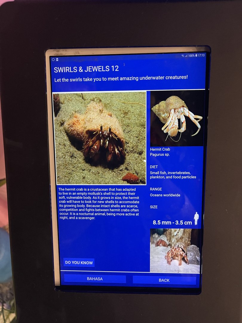 colosseum tank - hermit crab signage