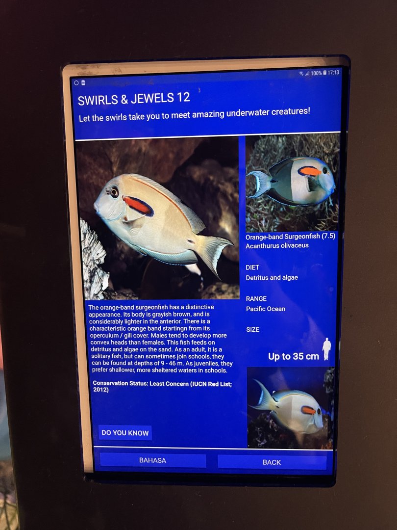 colosseum tank - orange-band surgeonfish signage