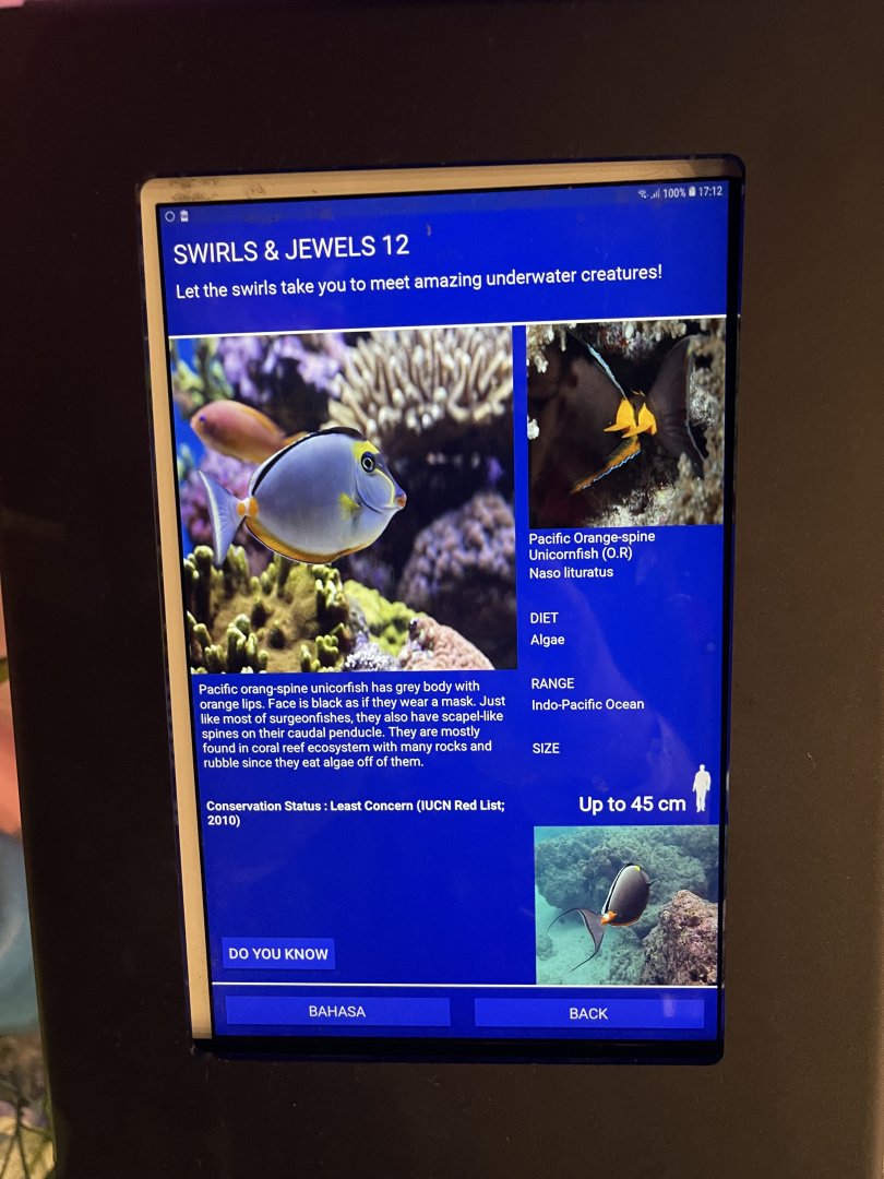 colosseum tank - orangespine unicornfish signage