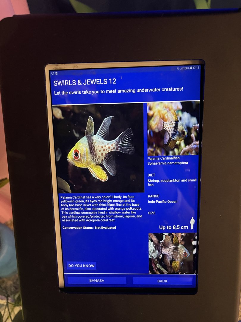 colosseum tank - pajama cardinalfish signage