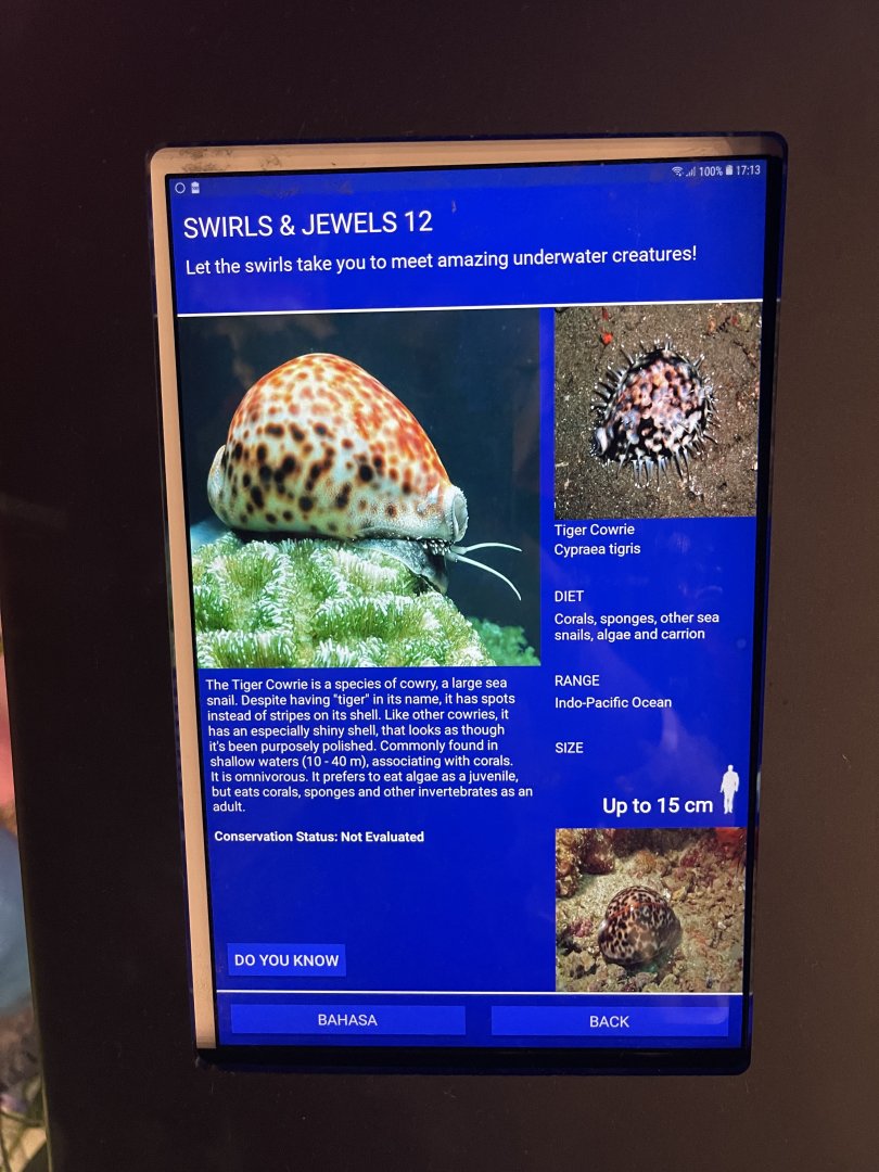 colosseum tank - tiger cowrie signage