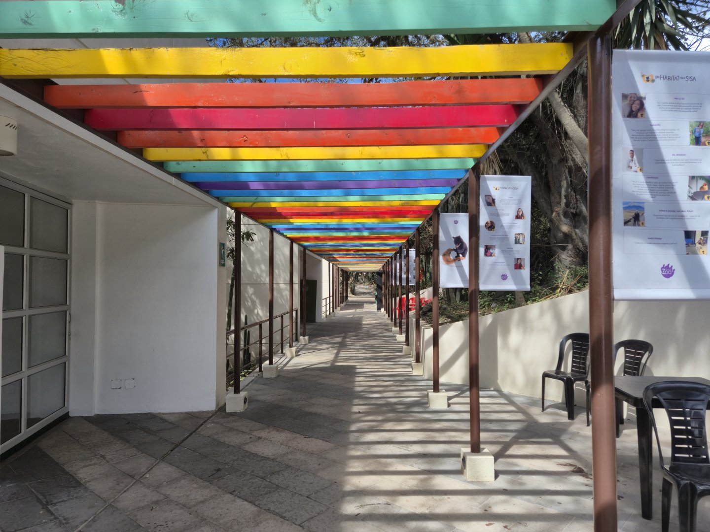 Colour tunnel leading to Spectacled Bear viewing platform