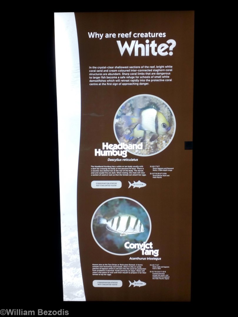 Colours of Fish Signage Example