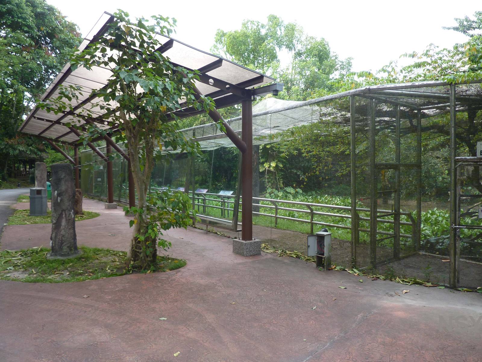 Colours of the Amazon aviary, May 2013