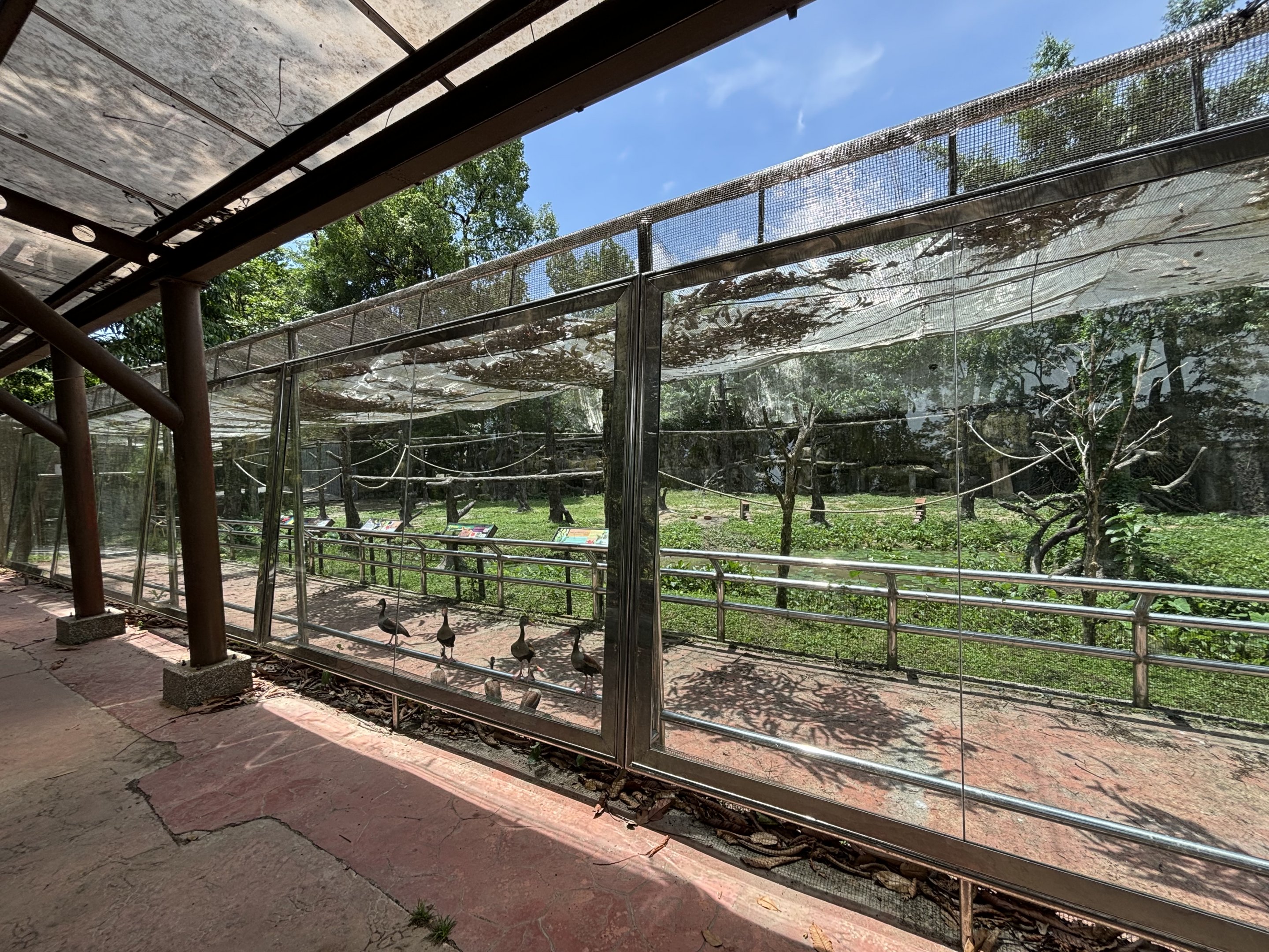 Colours of the Amazon Aviary - renovated in 2024