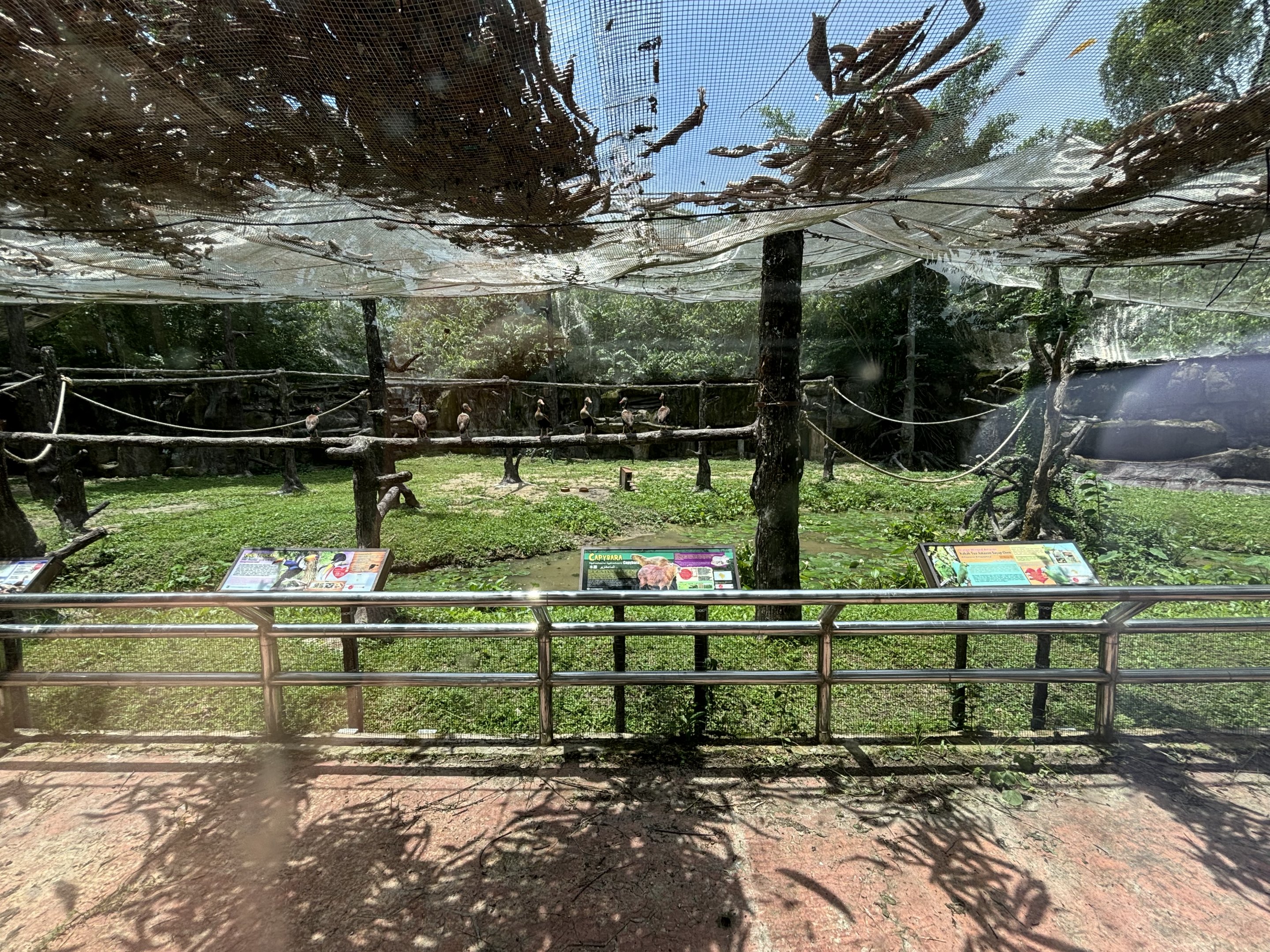 Colours of the Amazon Aviary - renovated in 2024