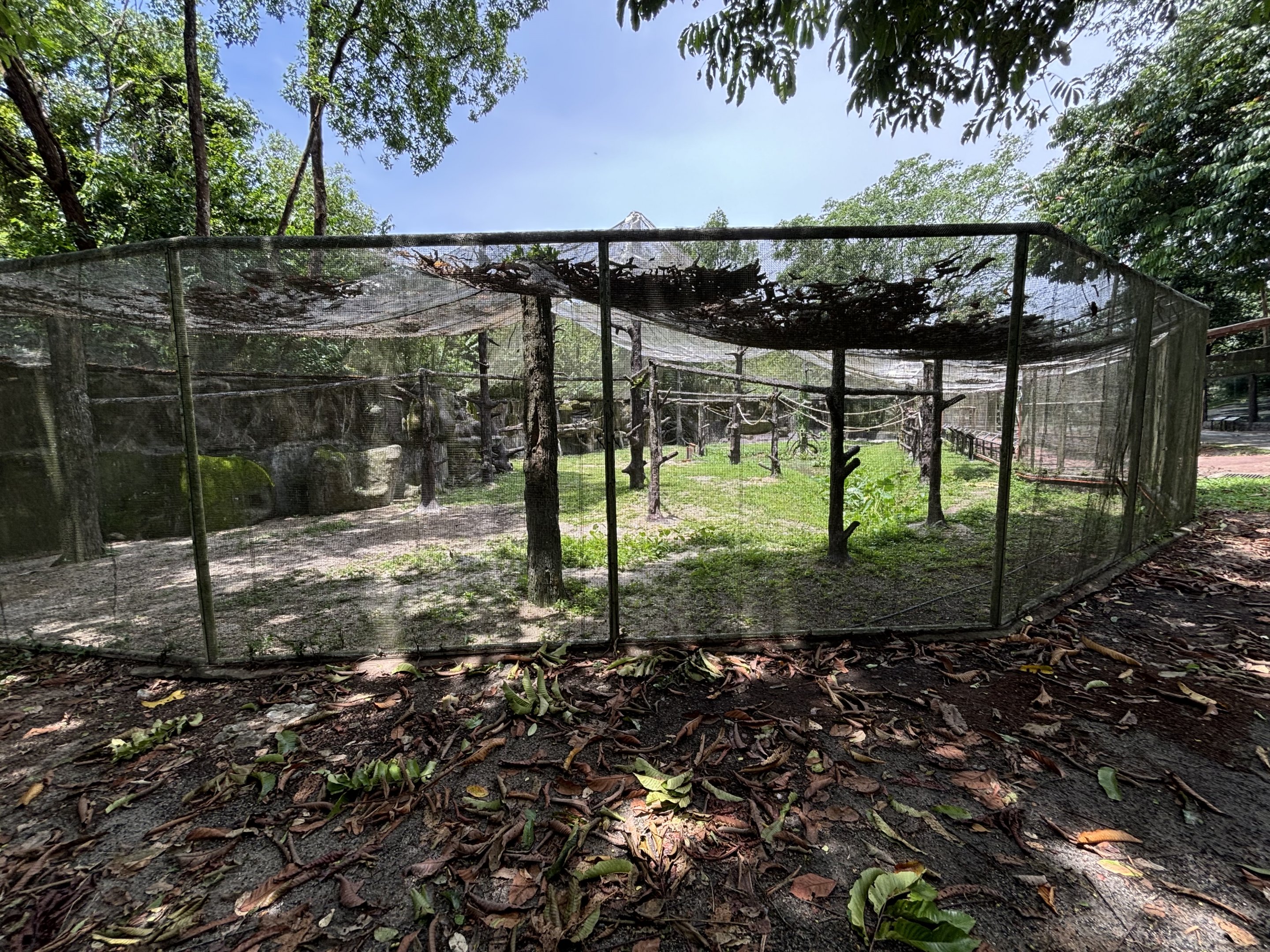 Colours of the Amazon Aviary - renovated in 2024