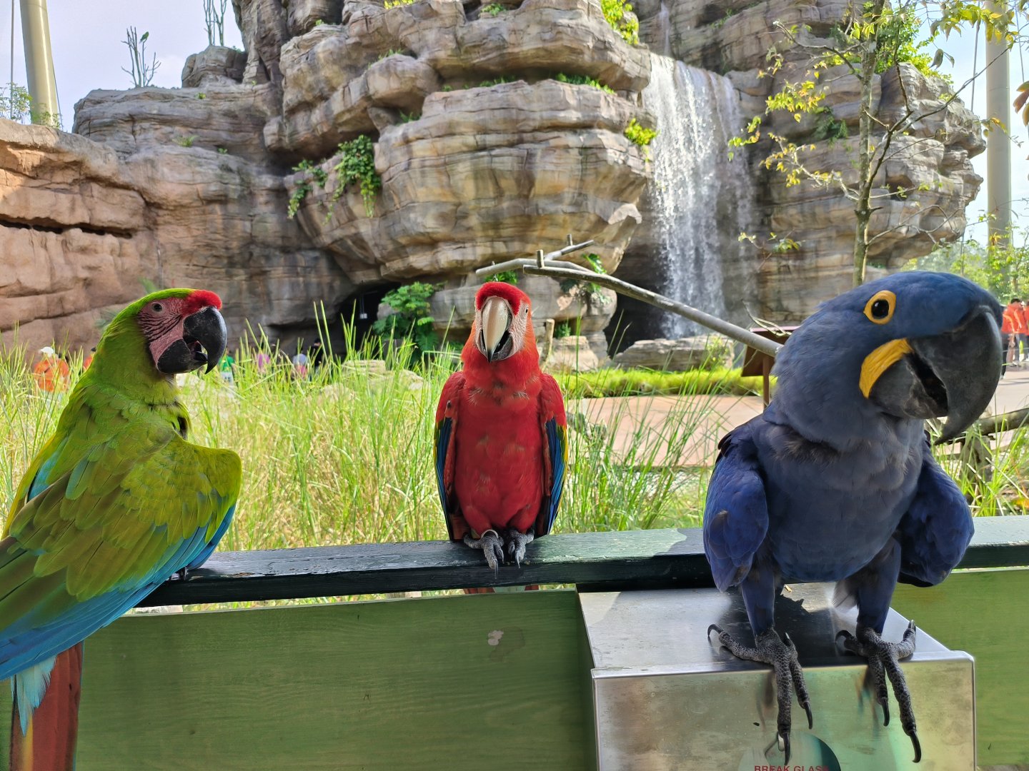 Colours of the Wetlands