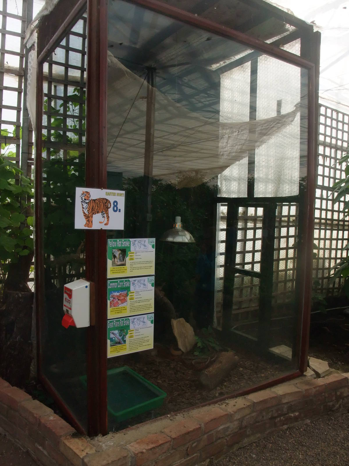 Colubrid Exhibit at Long Sutton 25/04/11