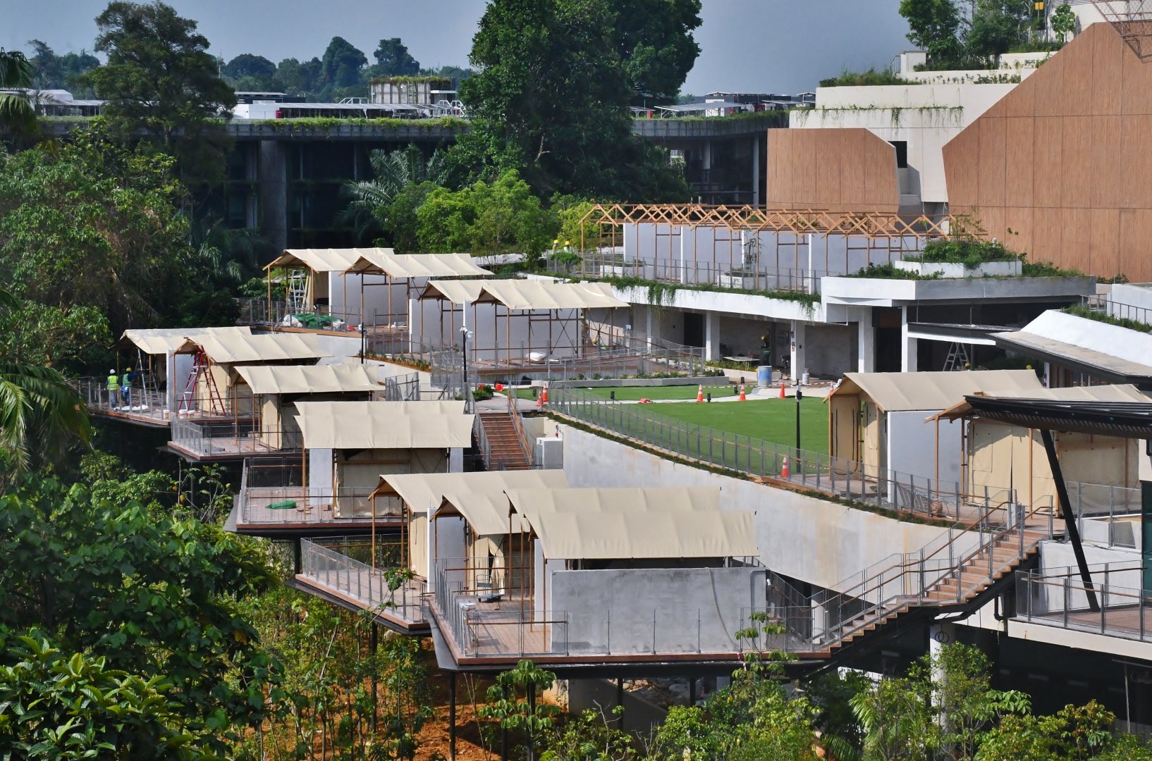 Colugo Camp (opening soon)