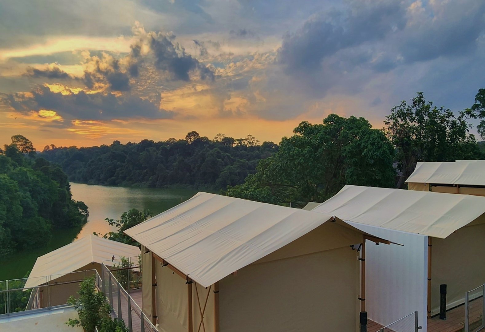 Colugo Camp (opening soon)