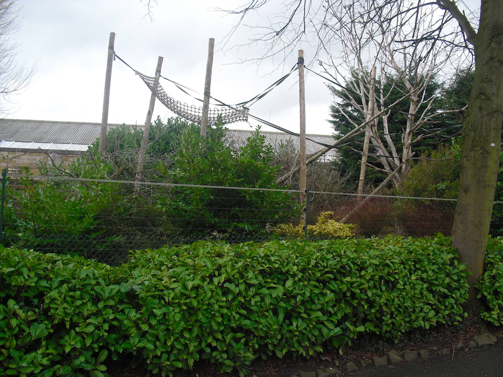Columbian Black-faced Squirrel Monkey Outdoor Enclosure - 16/02/2011