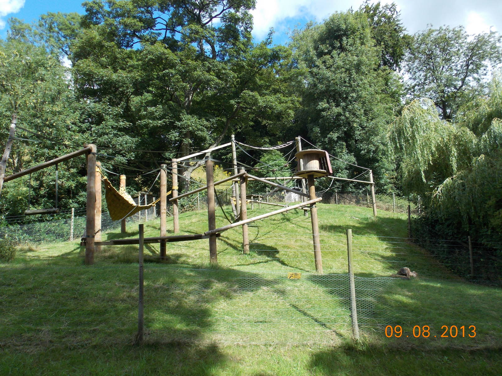 Columbian Black Spider Monkey Exhibit
