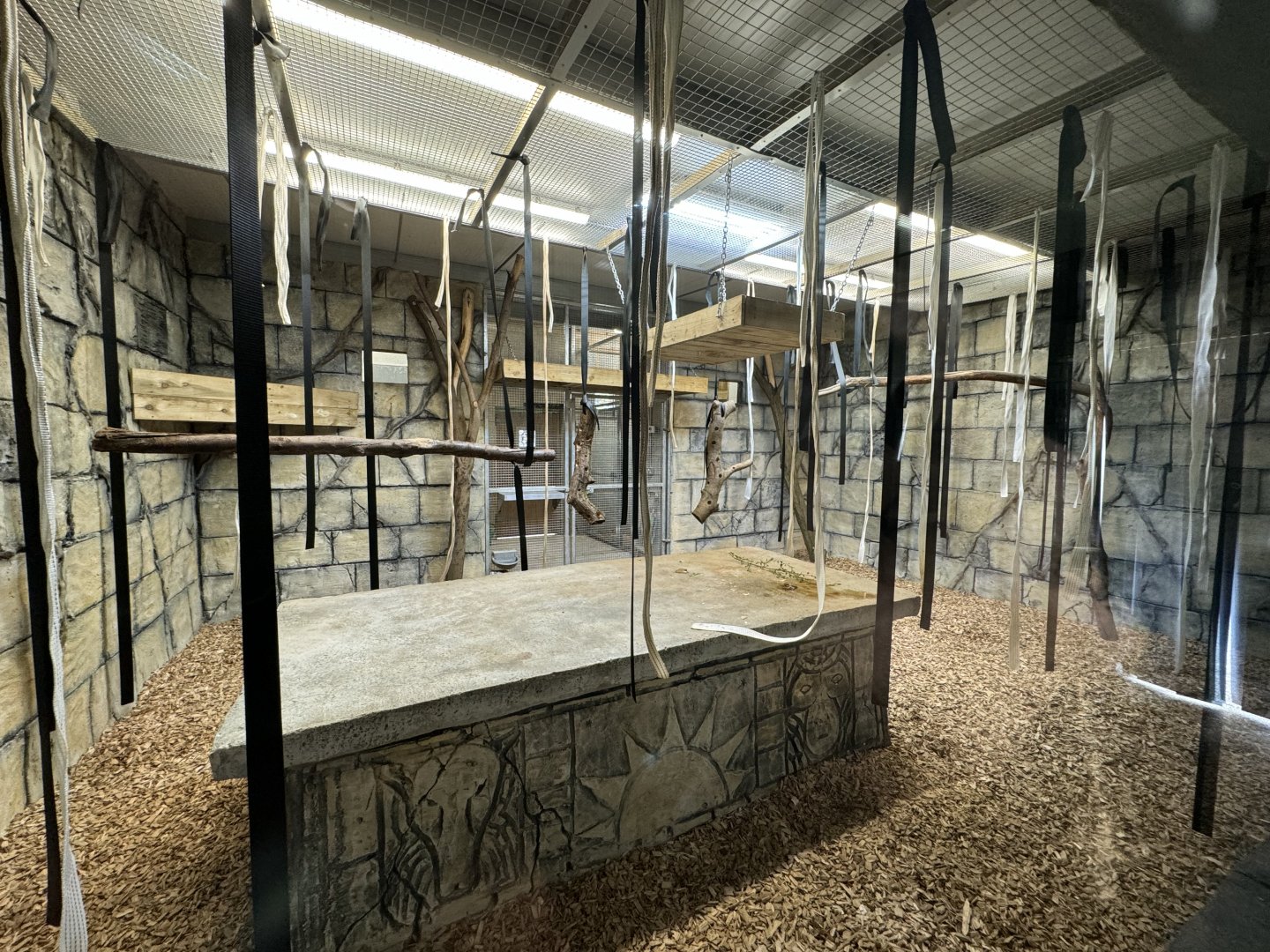 Columbian Black Spider Monkey Indoor Enclosure at Woodside Wildlife Park (May 2024)