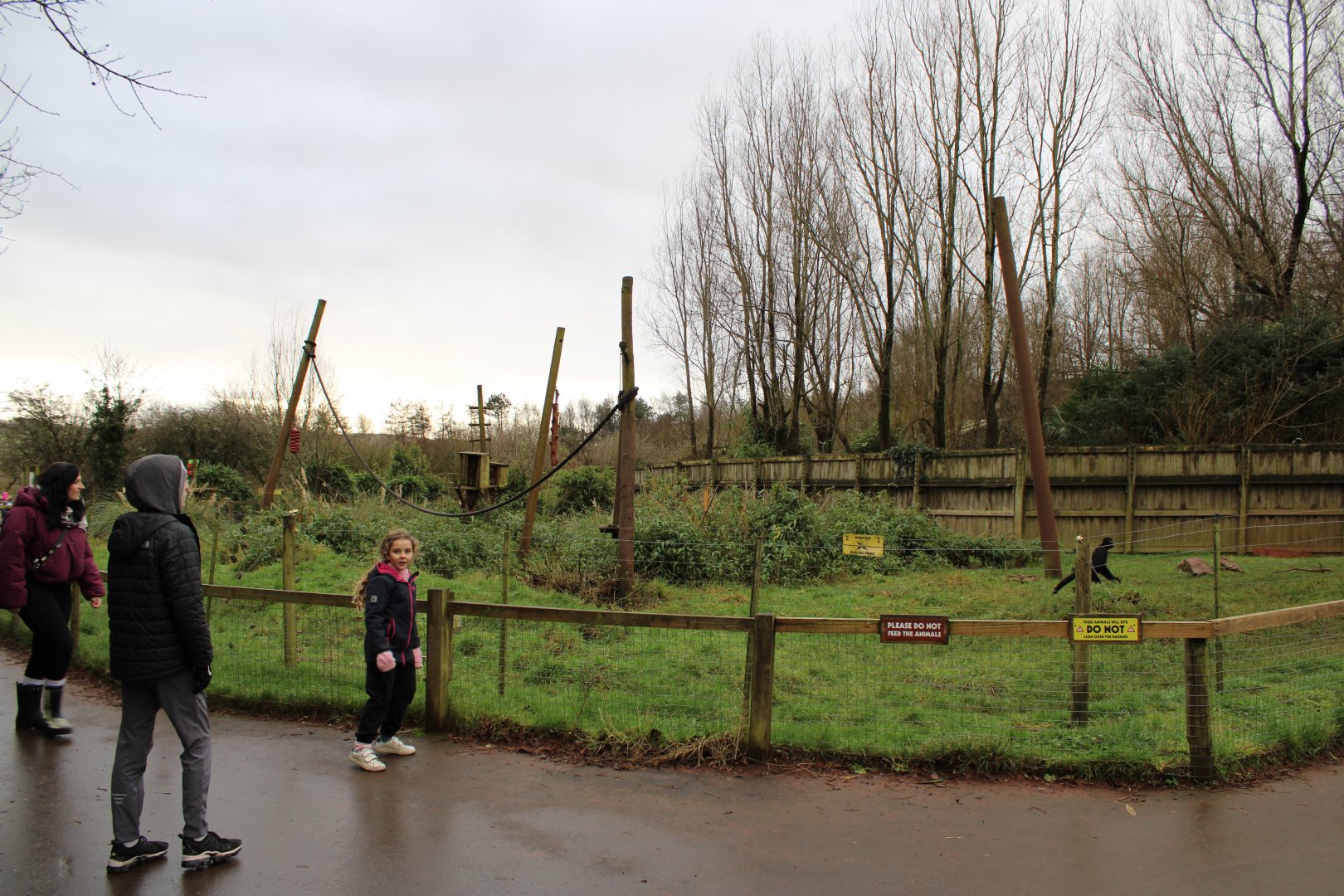 Columbian Spider Monkey Enclosure