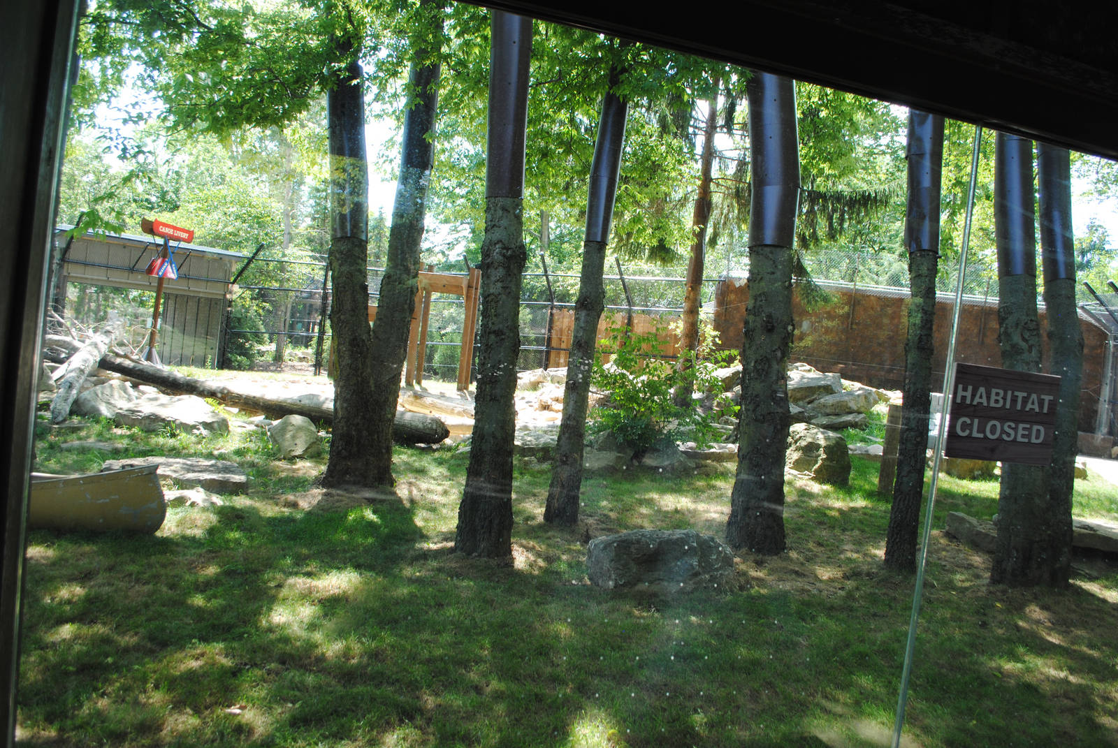 Columbus 2016 - New Black Bear Exhibit - Kayak Rental Theme