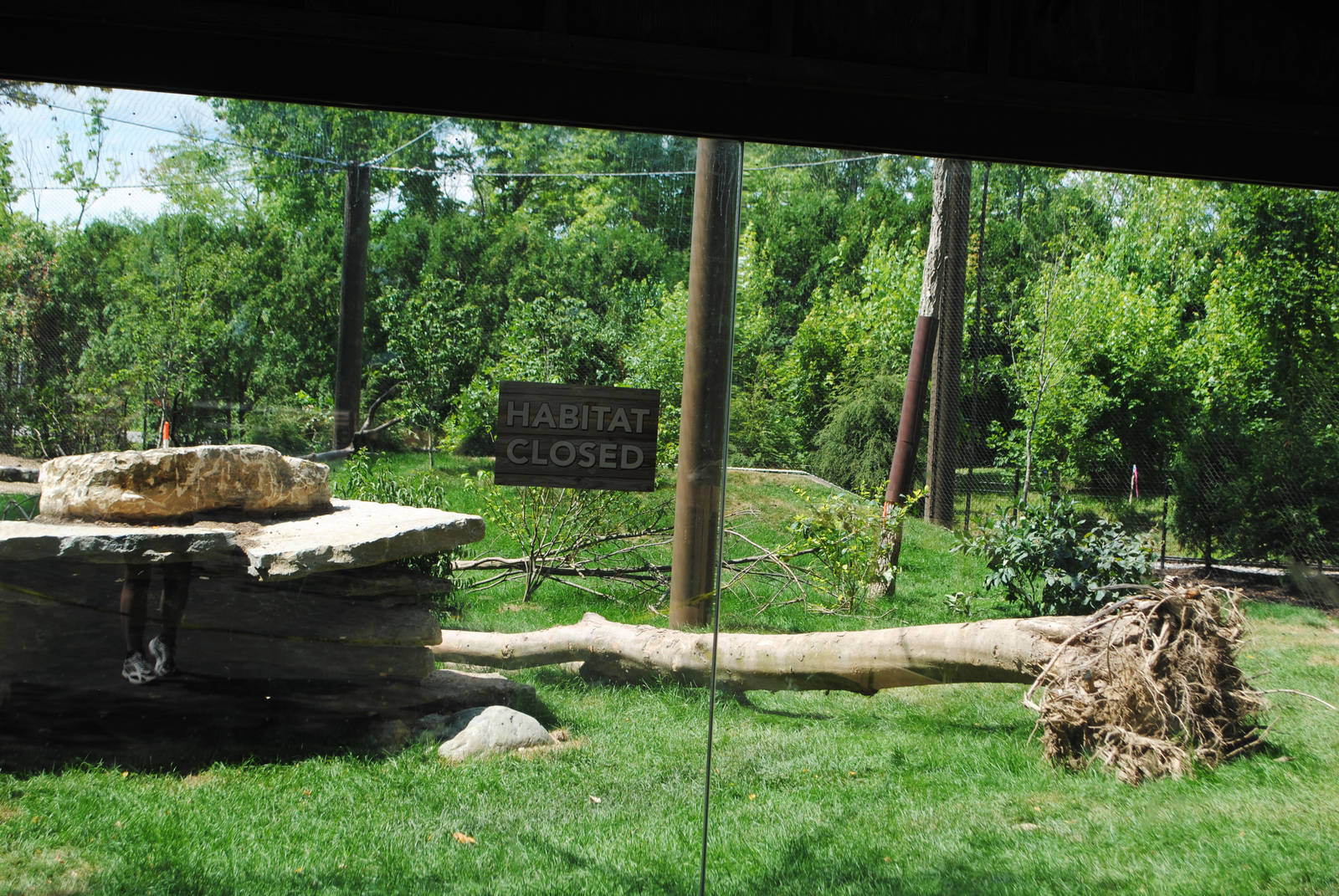 Columbus 2016 - New Puma Exhibit