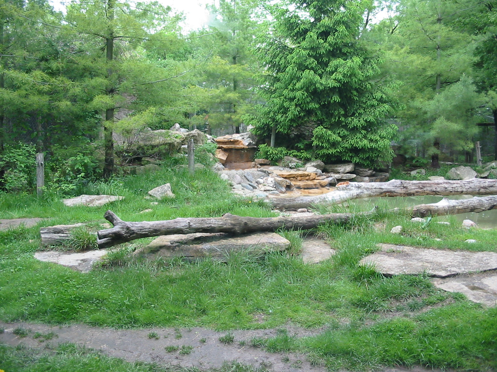 Columbus Zoo 2003 - Grizzly Bear exhibit?