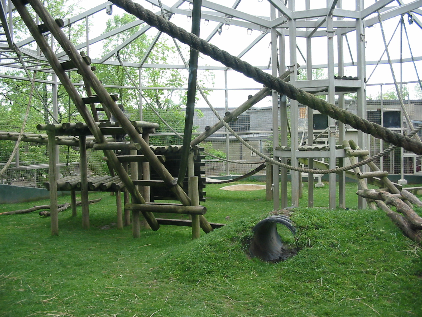 Columbus Zoo 2003 - View into the famous Gorilla exhibit