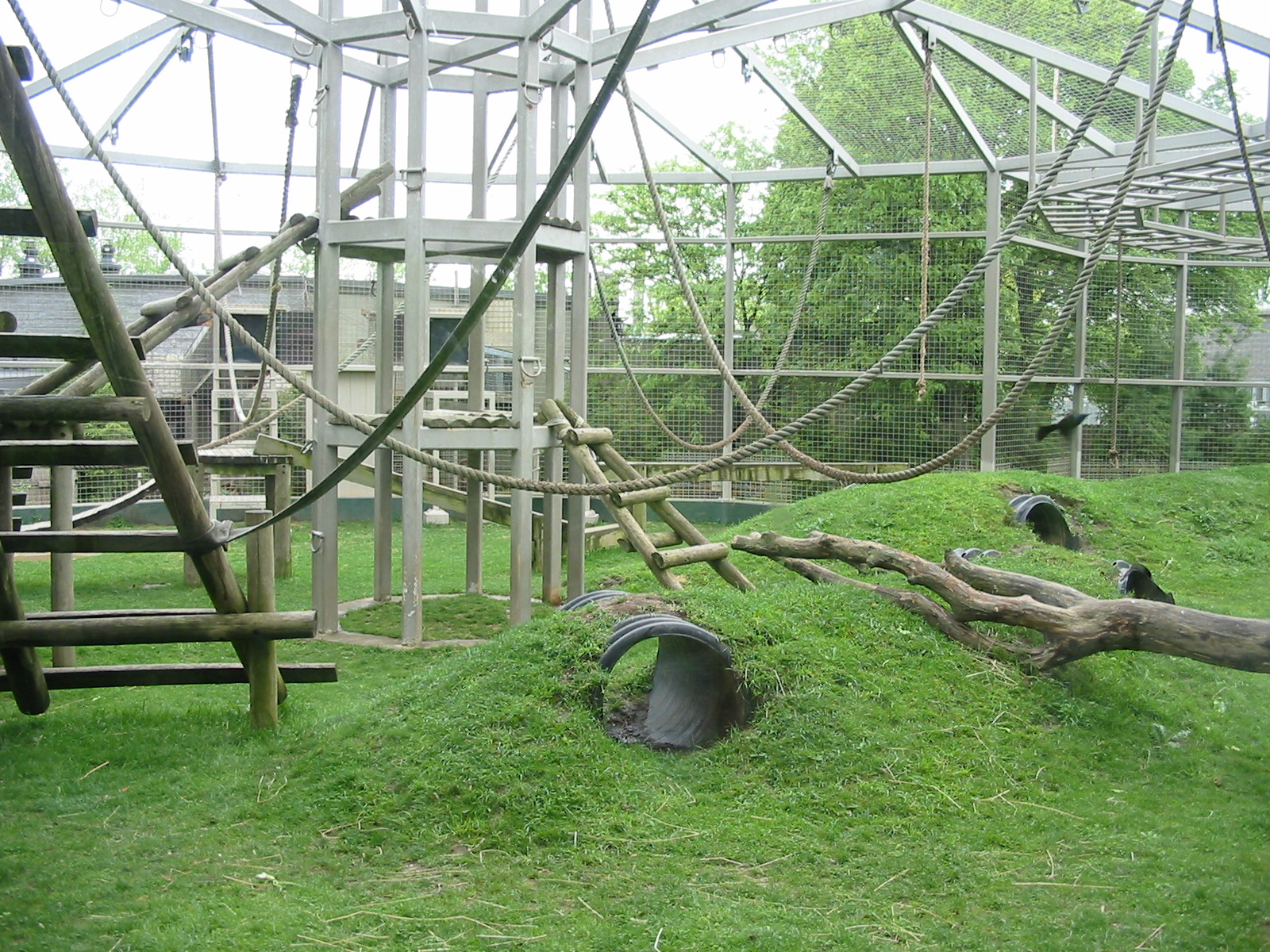 Columbus Zoo 2003 - View into the famous Gorilla exhibit