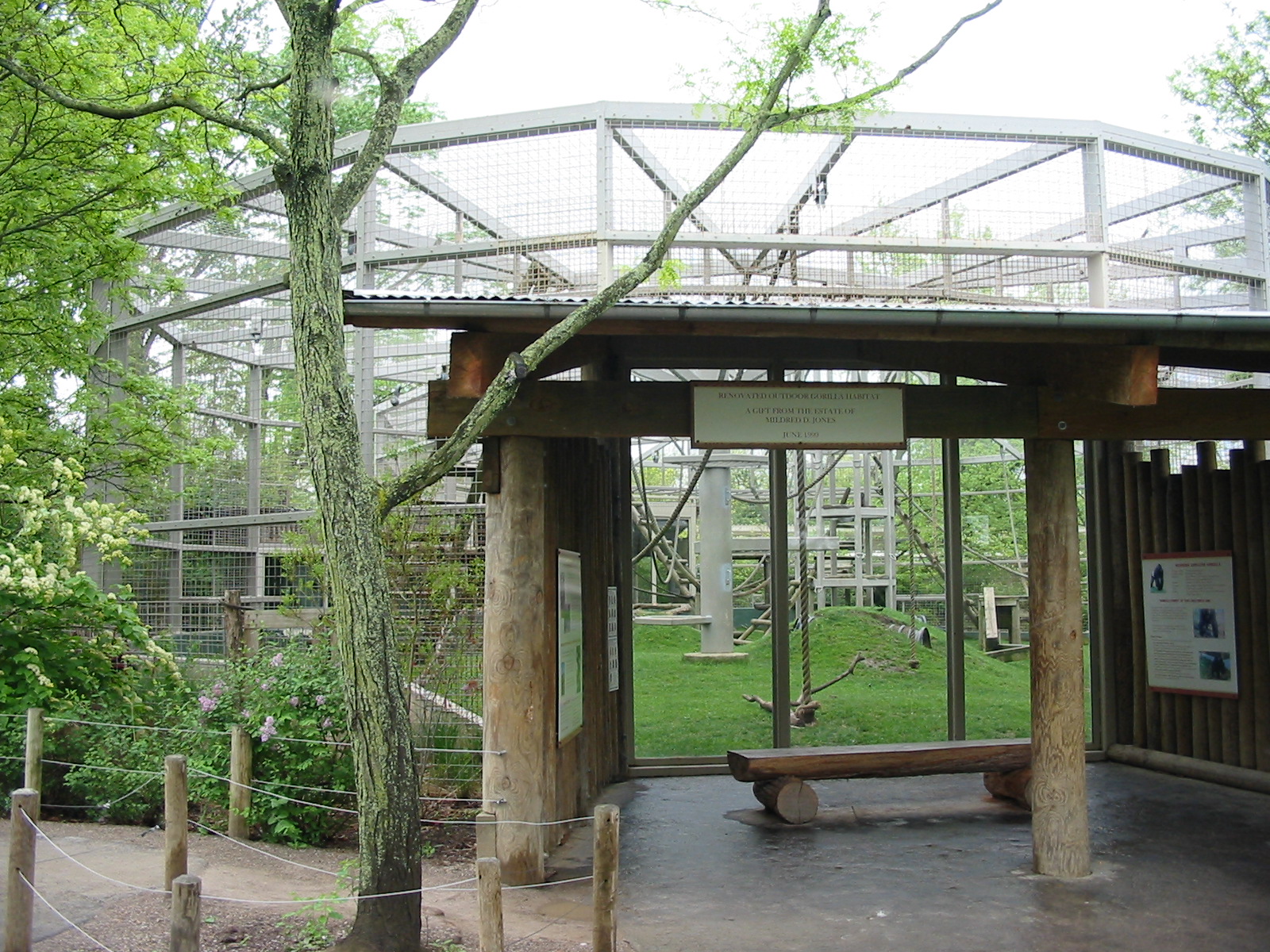 Columbus Zoo 2003 - Viewing corner at the famous Gorilla exhibit