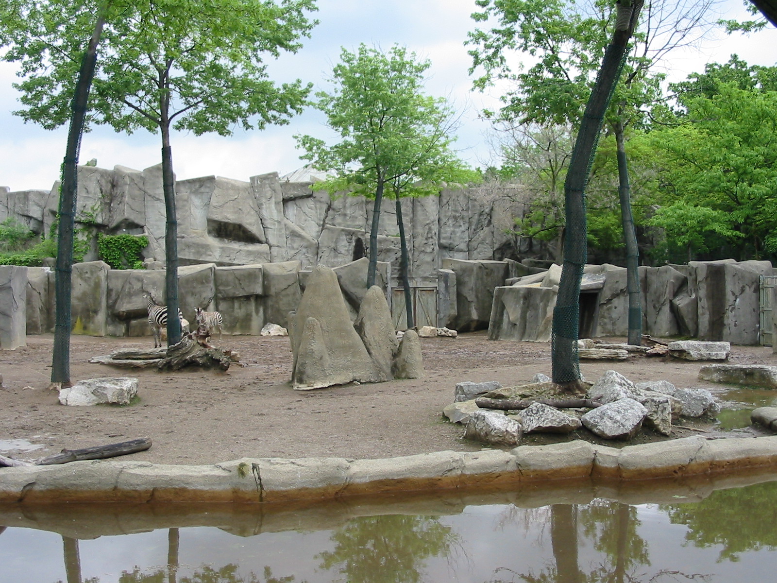 Columbus Zoo 2003 - Zebra exhibit