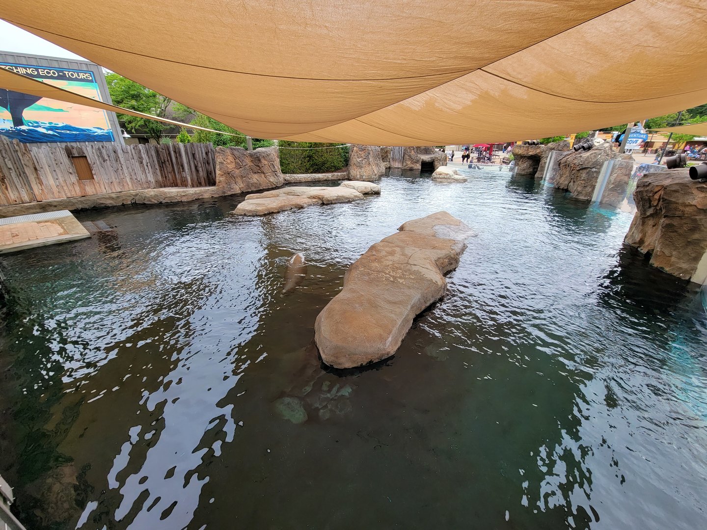 Columbus Zoo - Adventure Cove, main section of pool from above