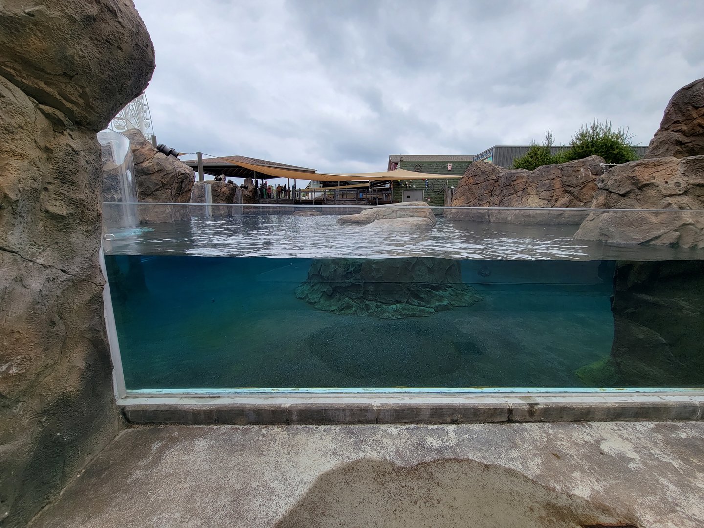 Columbus Zoo - Adventure Cove pool
